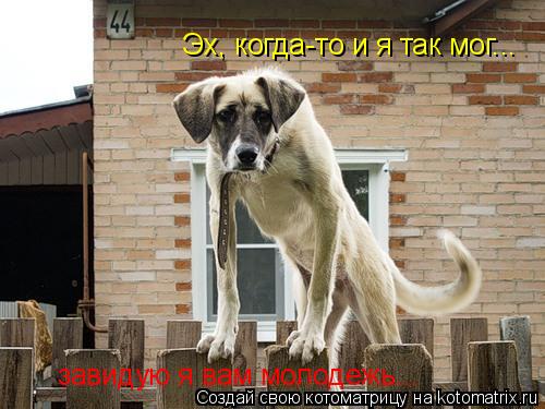 Эх, когда-то и я так мог... завидую я вам молодежь...... Котоматрица: Эх, когда-то и я так мог... завидую я вам молодежь...