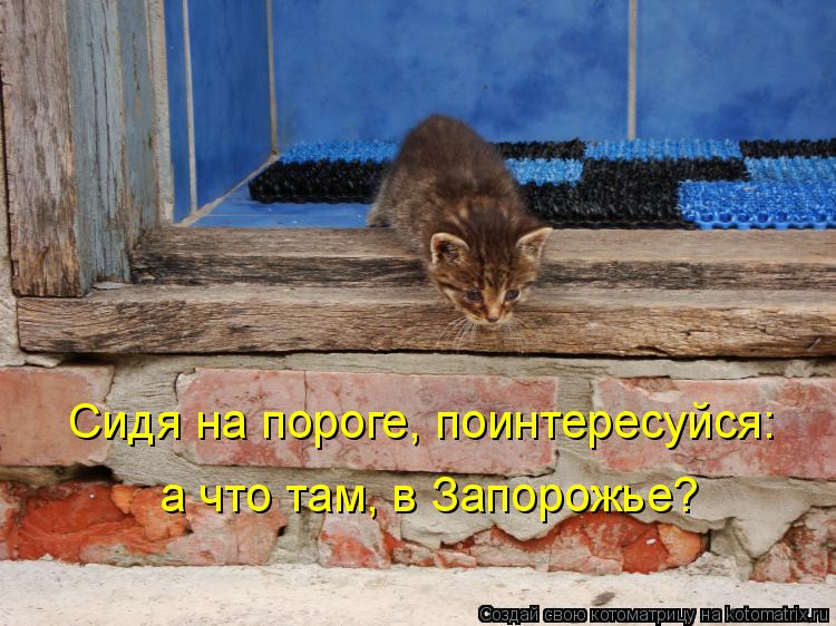 Котоматрица: Сидя на пороге, поинтересуйся:  а что там, в Запорожье?