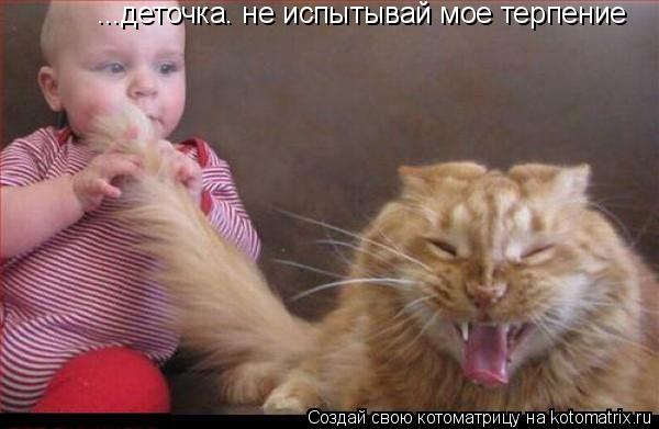 ...деточка. не испытывай мое терпение... Котоматрица: ...деточка. не испытывай мое терпение