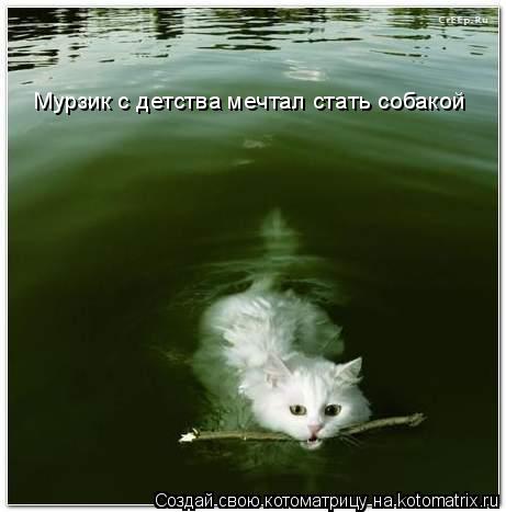 Мурзик с детства мечтал стать собакой... Котоматрица: Мурзик с детства мечтал стать собакой