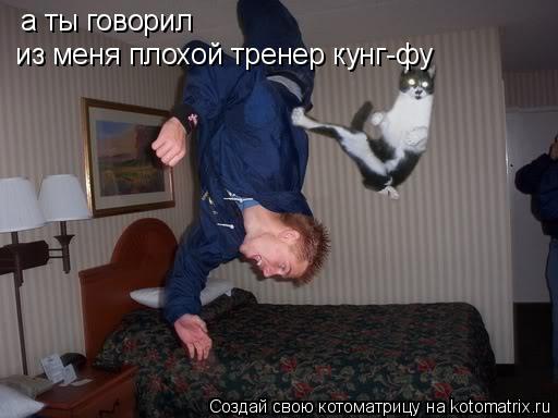 а ты говорил из меня плохой тренер кунг-фу... Котоматрица: а ты говорил из меня плохой тренер кунг-фу