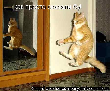 как просто сказали бу!... Котоматрица: как просто сказали бу!