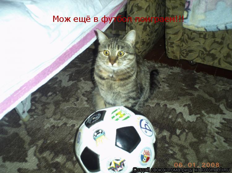 Котоматрица: Мож ещё в футбол поиграем!!!