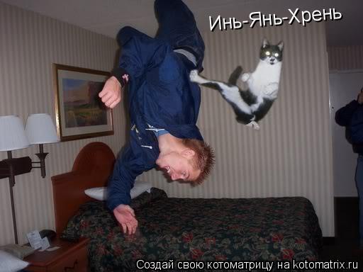 Котоматрица: Инь-Янь-Хрень