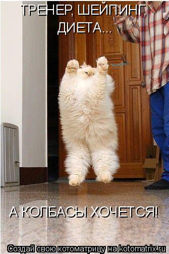 Котоматрица: ТРЕНЕР, ШЕЙПИНГ,  ДИЕТА... А КОЛБАСЫ ХОЧЕТСЯ!