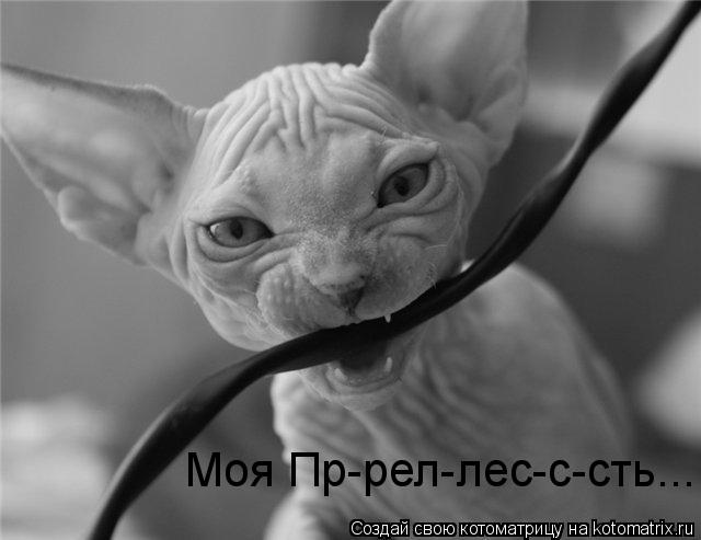 Котоматрица: Моя Пр-рел-лес-с-сть...