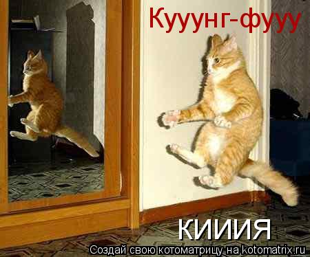 Кууунг-фууу КИИИЯ... Котоматрица: Кууунг-фууу КИИИЯ
