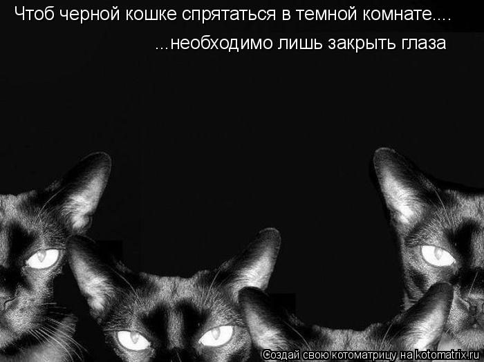 Котоматрица: Чтоб черной кошке спрятаться в темной комнате.... ...необходимо лишь закрыть глаза