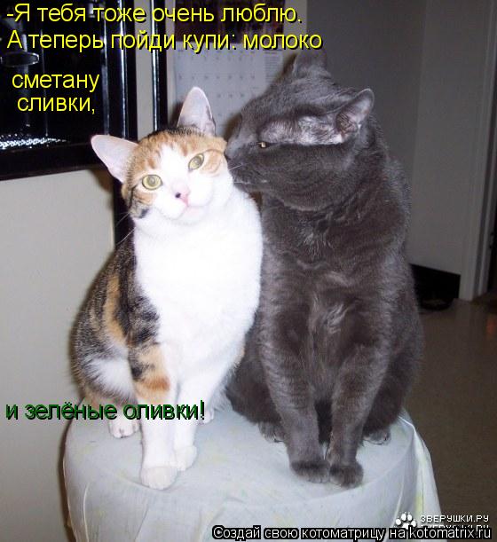 Котоматрица: -Я тебя тоже очень люблю. сметану сливки, А теперь пойди купи: молоко и зелёные оливки!