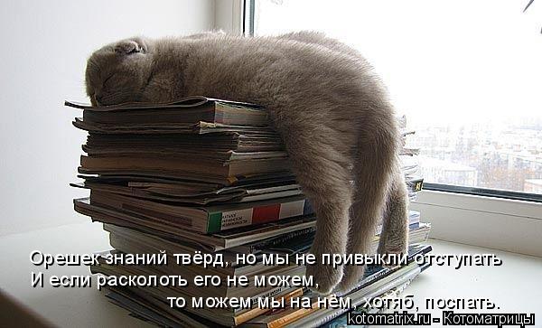 Орешек знаний твёрд, но мы не привыкли отступать И если расколоть его не можем, то можем мы на нём, х... Котоматрица: Орешек знаний твёрд, но мы не привыкли отступать И если расколоть его не можем, то можем мы на нём, хотяб, поспать.