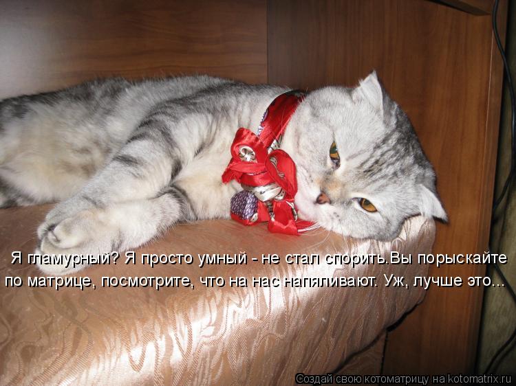 Я гламурный? Я просто умный - не стал спорить.Вы порыскайте по матрице, посмотрите, что на нас напял... Котоматрица: Я гламурный? Я просто умный - не стал спорить.Вы порыскайте по матрице, посмотрите, что на нас напяливают. Уж, лучше это...