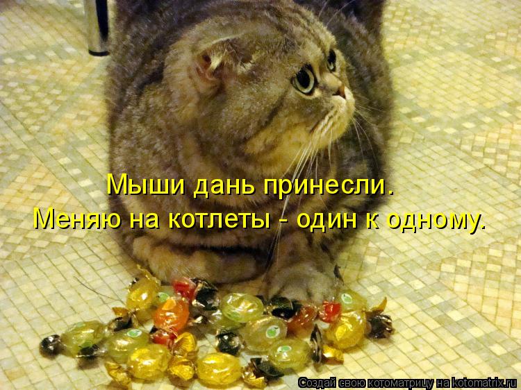 Котоматрица: Мыши дань принесли. Меняю на котлеты - один к одному.