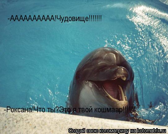-АААААААААА!Чудовище!!!!!!! -Роксана!Что ты?Это я твой кошмаар!!!!!!!... Котоматрица: -АААААААААА!Чудовище!!!!!!! -Роксана!Что ты?Это я твой кошмаар!!!!!!!
