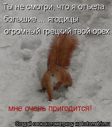 Ты не смотри, что я отъела большие ... ягодицы огромный грецкий твой орех огромный грецкий твой орех ... Котоматрица: Ты не смотри, что я отъела большие ... ягодицы огромный грецкий твой орех огромный грецкий твой орех мне очень пригодится!