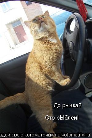 До рынка? Сто рЫблей!... Котоматрица: До рынка? Сто рЫблей!