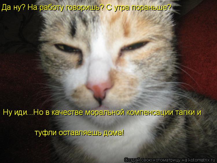 Да ну? На работу говоришь? С утра пораньше? Ну иди...Но в качестве моральной компенсации тапки и т... Котоматрица: Да ну? На работу говоришь? С утра пораньше? Ну иди...Но в качестве моральной компенсации тапки и туфли оставляешь дома!