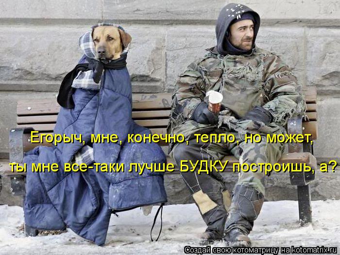 Егорыч, мне, конечно, тепло, но может, ты мне все-таки лучше БУДКУ построишь, а?... Котоматрица: Егорыч, мне, конечно, тепло, но может, ты мне все-таки лучше БУДКУ построишь, а?