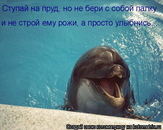 Ступай на пруд, но не бери с собой палку и не строй ему рожи, а просто улыбнись...... Котоматрица: Ступай на пруд, но не бери с собой палку и не строй ему рожи, а просто улыбнись...