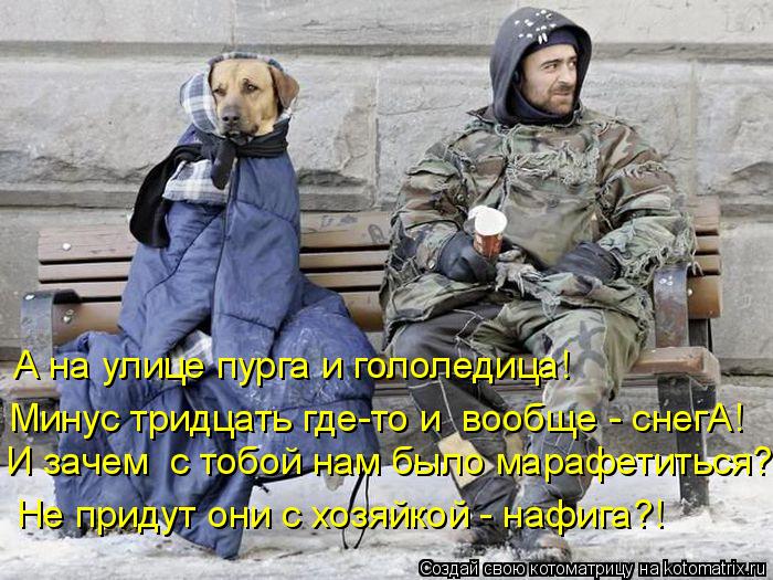Котоматрица: А на улице пурга и гололедица!  Минус тридцать где-то и  вообще - снегА! И зачем  с тобой нам было марафетиться?! Не придут они с хозяйкой - нафи