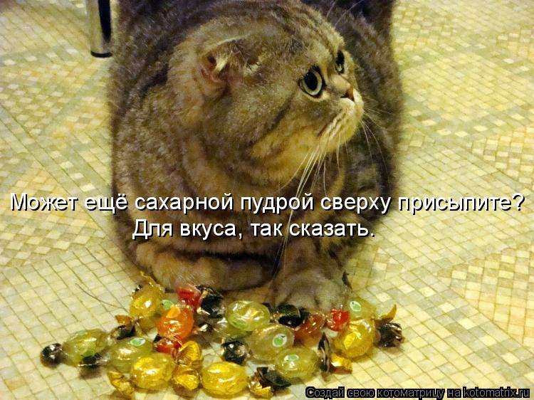 Может ещё сахарной пудрой сверху присыпите? Для вкуса, так сказать.... Котоматрица: Может ещё сахарной пудрой сверху присыпите? Для вкуса, так сказать.