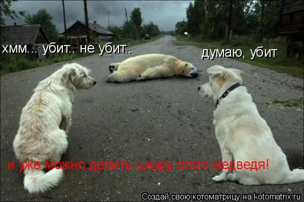 хмм... убит.. не убит.. думаю, убит и уже можно делить шкуру этого медведя!... Котоматрица: хмм... убит.. не убит.. думаю, убит и уже можно делить шкуру этого медведя!