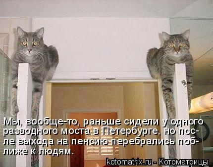 Мы, вообще-то, раньше сидели у одного разводного моста в Петербурге, но пос- ле выхода на пенсию пере... Котоматрица: Мы, вообще-то, раньше сидели у одного разводного моста в Петербурге, но пос- ле выхода на пенсию перебрались поб- лиже к людям.
