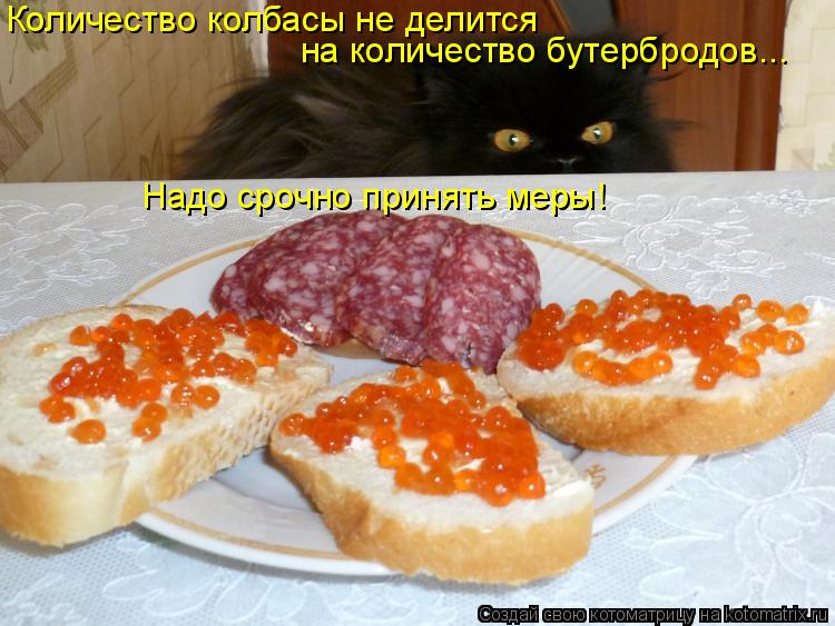 Количество колбасы не делится на количество бутербродов... Надо срочно принять меры!... Котоматрица: Количество колбасы не делится на количество бутербродов... Надо срочно принять меры!