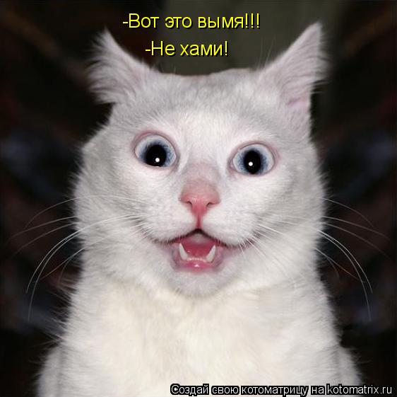 -Вот это вымя!!! -Не хами!... Котоматрица: -Вот это вымя!!! -Не хами!