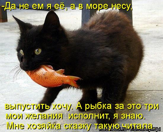 -Да не ем я её, а в море несу, выпустить хочу. А рыбка за это три мои желания исполнит, я знаю. Мне ... Котоматрица: -Да не ем я её, а в море несу, выпустить хочу. А рыбка за это три мои желания исполнит, я знаю. Мне хозяйка сказку такую читала.