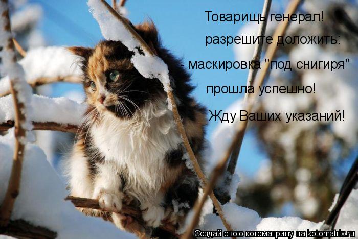 Товарищь генерал! разрешите доложить: - маскировка "под снигиря" прошла успешно! Жду Ваших указаний!... Котоматрица: Товарищь генерал! разрешите доложить: - маскировка "под снигиря" прошла успешно! Жду Ваших указаний!