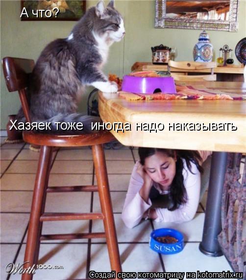 А что? Хазяек тоже иногда надо наказывать... Котоматрица: А что? Хазяек тоже иногда надо наказывать