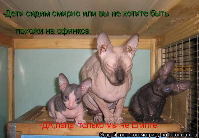 -Дети сидим смирно или вы не хотите быть похожи на сфинкса. -ДА,папа, только мы не Египте... Котоматрица: -Дети сидим смирно или вы не хотите быть похожи на сфинкса. -ДА,папа, только мы не Египте