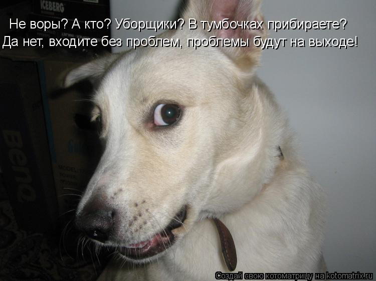 Не воры? А кто? Уборщики? В тумбочках прибираете? Да нет, входите без проблем, проблемы будут на выхо... Котоматрица: Не воры? А кто? Уборщики? В тумбочках прибираете? Да нет, входите без проблем, проблемы будут на выходе!