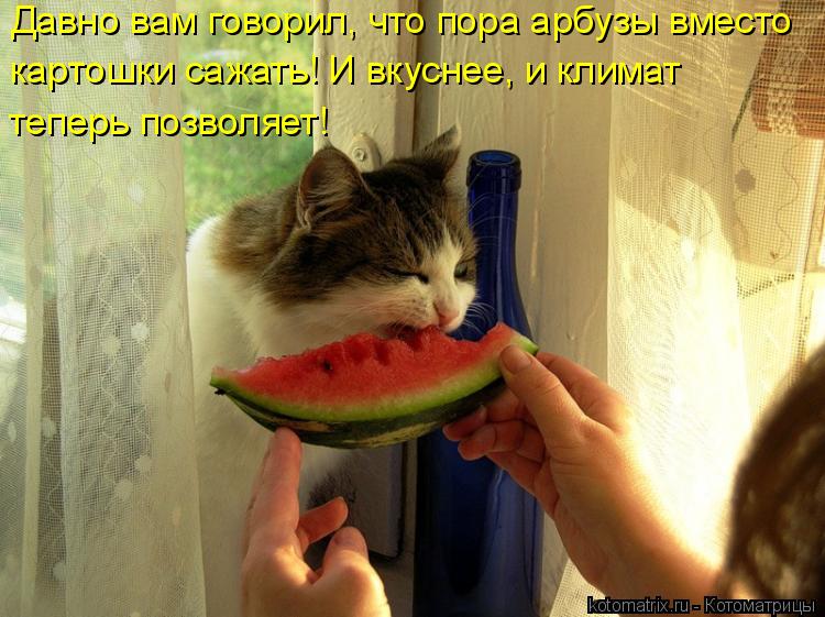 http://kotomatrix.ru/images/lolz/2010/07/14/628669.jpg