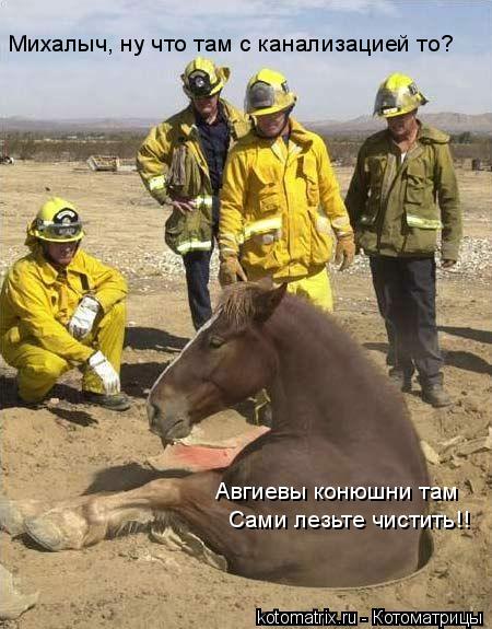 Михалыч, ну что там с канализацией то? Авгиевы конюшни там Сами лезьте чистить!!... Котоматрица: Михалыч, ну что там с канализацией то? Авгиевы конюшни там Сами лезьте чистить!!