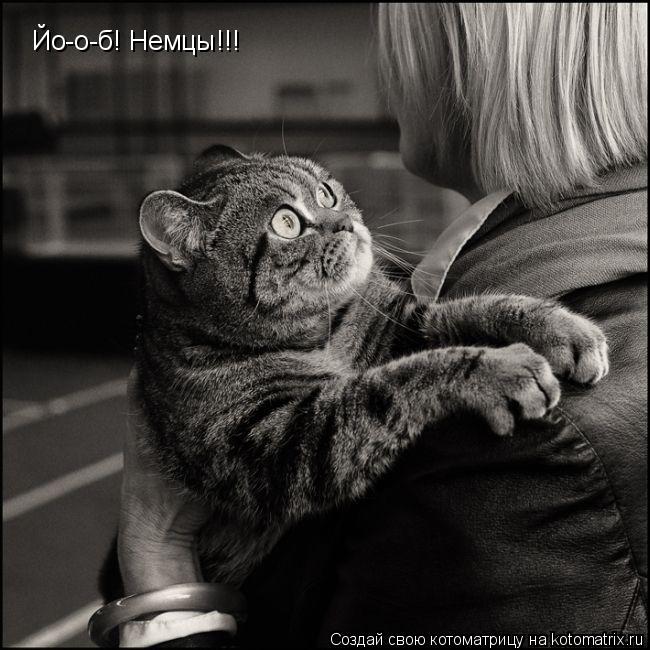 Котоматрица: Йо-о-б! Немцы!!!