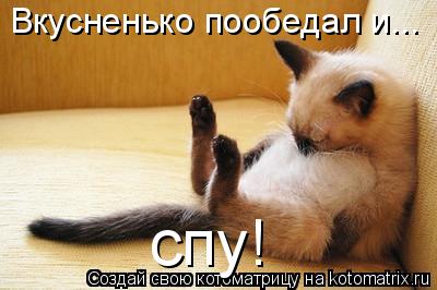 Котоматрица: Вкусненько пообедал и...  спу!