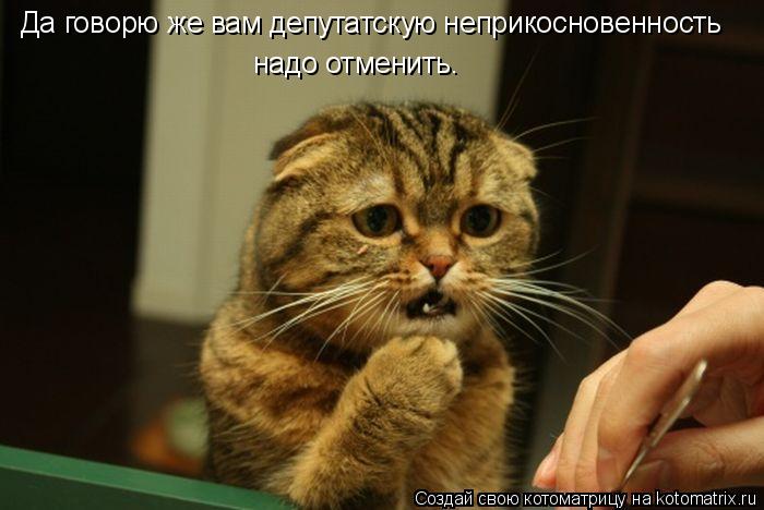 Котоматрица: Да говорю же вам депутатскую неприкосновенность надо отменить.