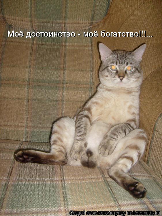 Котоматрица: Моё достоинство - моё богатство!!!...