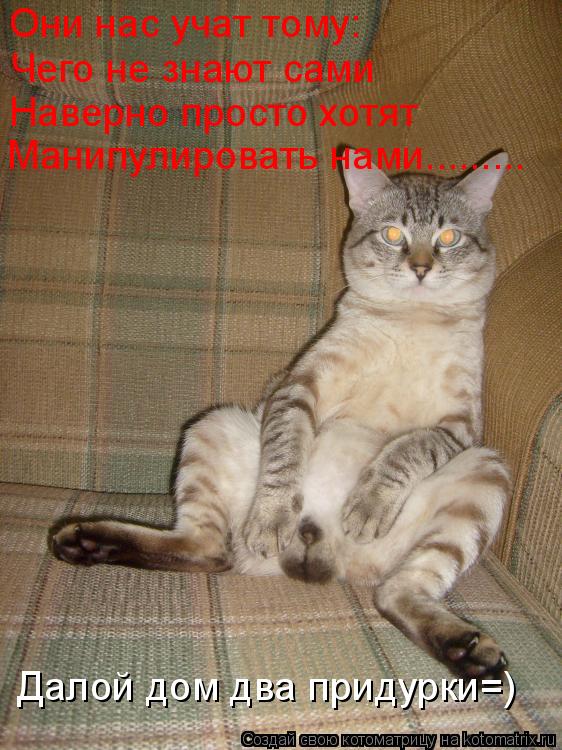 Котоматрица: Они нас учат тому: Чего не знают сами Наверно просто хотят Манипулировать нами......... Далой дом два придурки=)