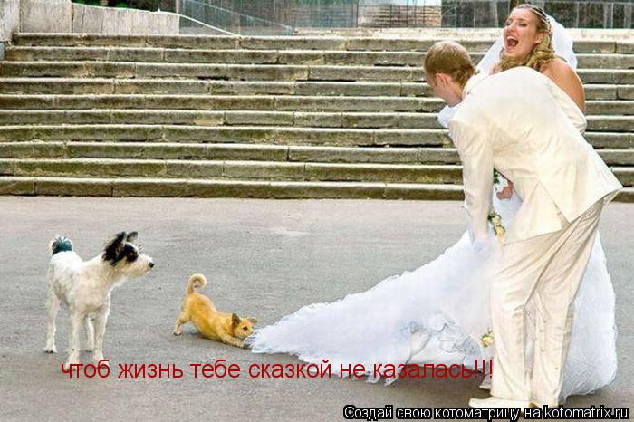 чтоб жизнь тебе сказкой не казалась!!!... Котоматрица: чтоб жизнь тебе сказкой не казалась!!!