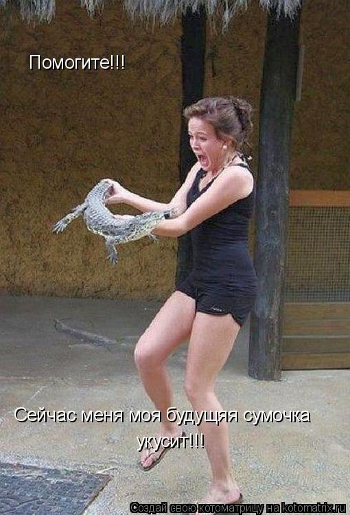 Помогите!!! Сейчас меня моя будущяя сумочка укусит!!!... Котоматрица: Помогите!!! Сейчас меня моя будущяя сумочка укусит!!!