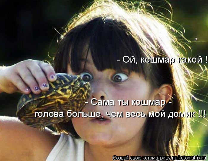 - Ой, кошмар какой !!! - Сама ты кошмар - голова больше, чем весь мой домик !!!... Котоматрица: - Ой, кошмар какой !!! - Сама ты кошмар - голова больше, чем весь мой домик !!!