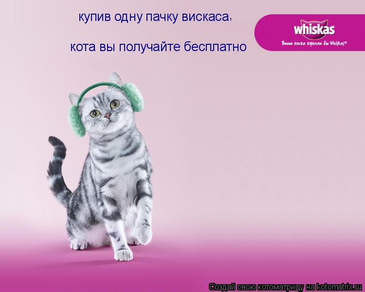 купив одну пачку вискаса , кота вы получайте бесплатно... Котоматрица: купив одну пачку вискаса , кота вы получайте бесплатно