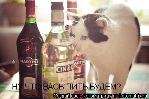 НУ ЧТО ВАСЬ ПИТЬ БУДЕМ?... Котоматрица: НУ ЧТО ВАСЬ ПИТЬ БУДЕМ?