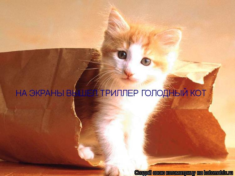 НА ЭКРАНЫ ВЫШЕЛ ТРИЛЛЕР ГОЛОДНЫЙ КОТ... Котоматрица: НА ЭКРАНЫ ВЫШЕЛ ТРИЛЛЕР ГОЛОДНЫЙ КОТ