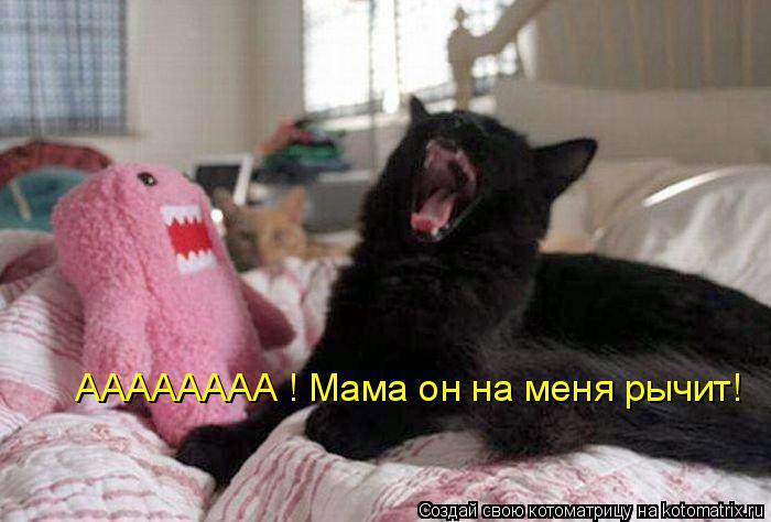 АААААААА ! Мама он на меня рычит!... Котоматрица: АААААААА ! Мама он на меня рычит!