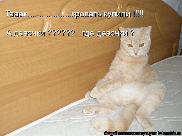 Тааак...................кровать купили !!!!! А девочки ?????? где девочки ?... Котоматрица: Тааак...................кровать купили !!!!! А девочки ?????? где девочки ?