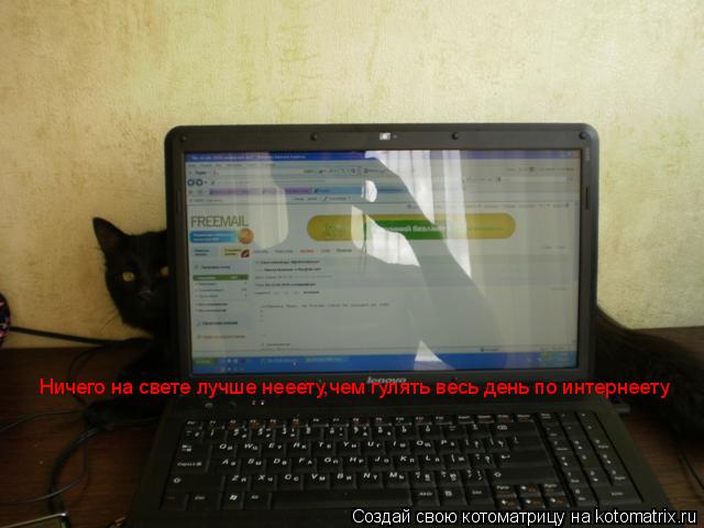 Ничего на свете лучше нееету,чем гулять весь день по интернеету... Котоматрица: Ничего на свете лучше нееету,чем гулять весь день по интернеету