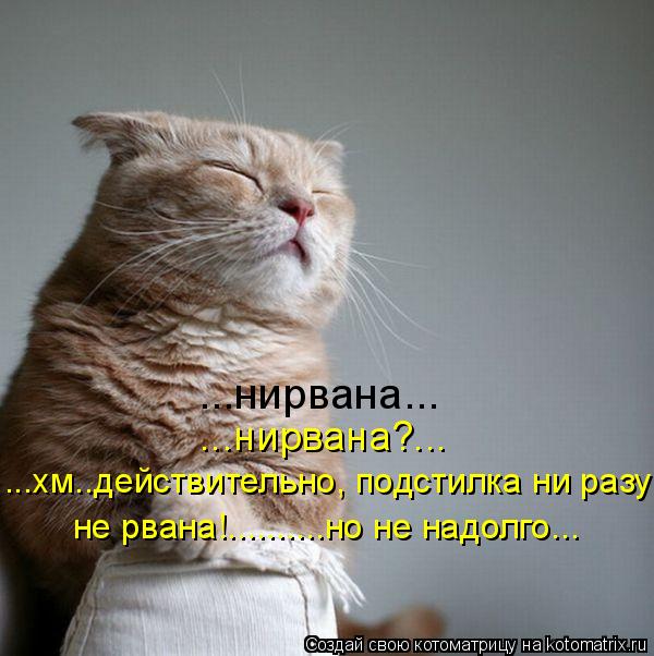 ...нирвана... ...хм..действительно, подстилка ни разу н не рвана!..........но не надолго... ...нирван... Котоматрица: ...нирвана... ...хм..действительно, подстилка ни разу н не рвана!..........но не надолго... ...нирвана?...